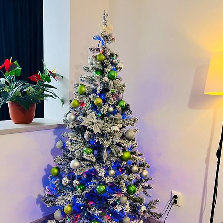 House51 Apartment Brasov Bagian luar foto