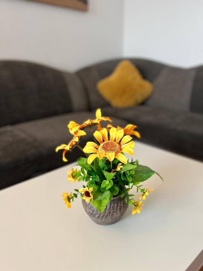 House51 Apartment Brasov Bagian luar foto