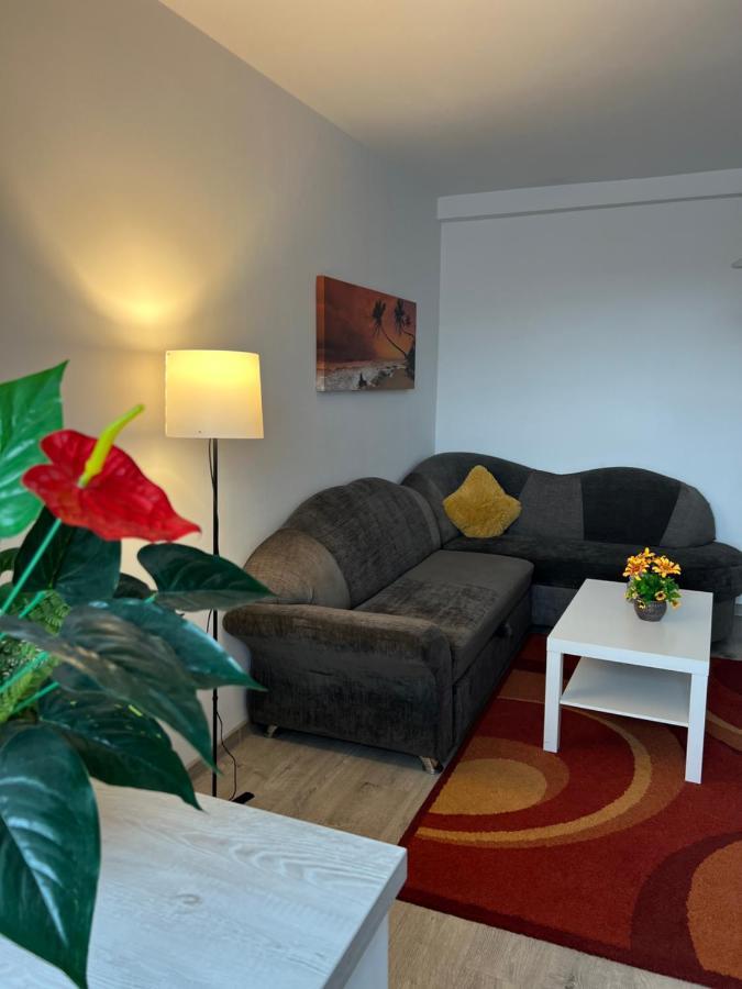 House51 Apartment Brasov Bagian luar foto