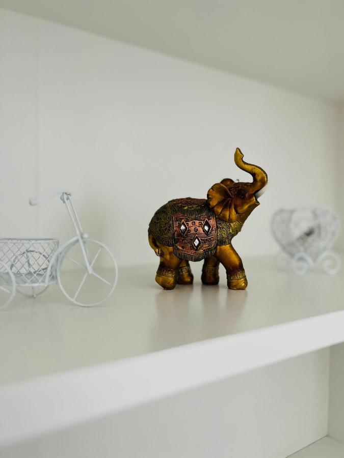 House51 Apartment Brasov Bagian luar foto