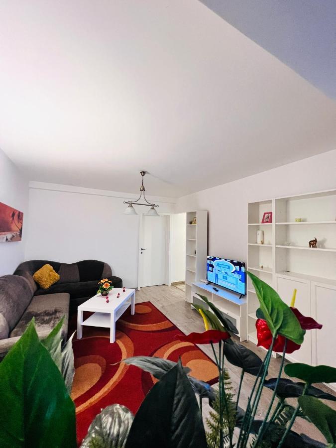 House51 Apartment Brasov Bagian luar foto