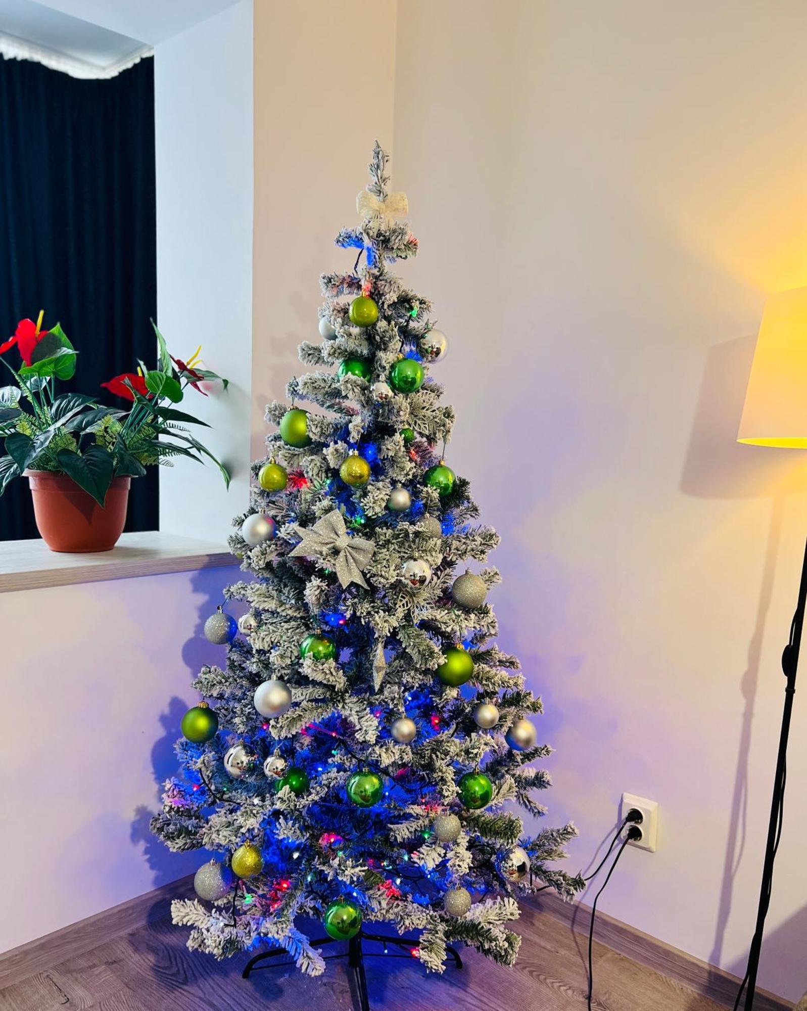 House51 Apartment Brasov Bagian luar foto