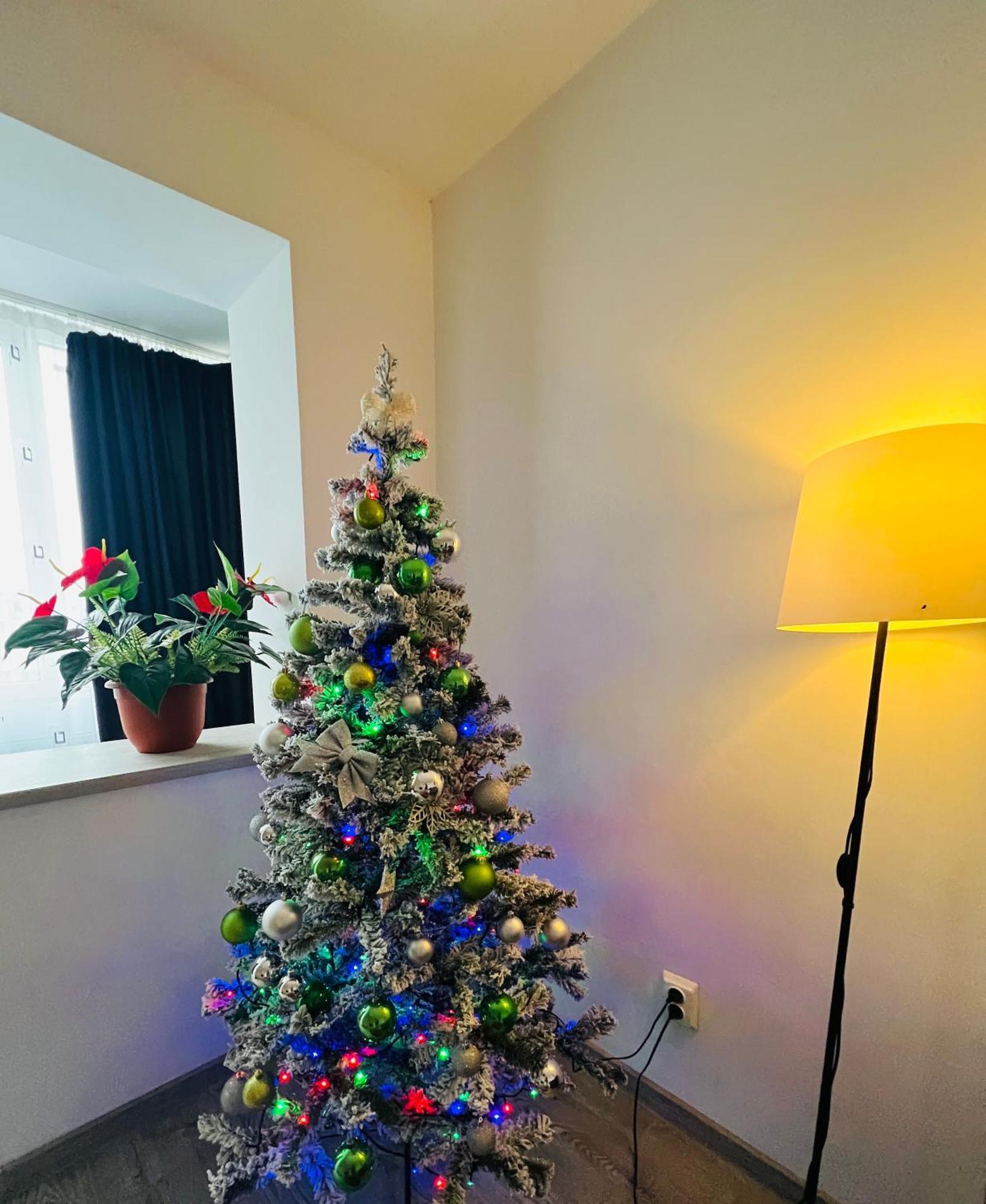 House51 Apartment Brasov Bagian luar foto
